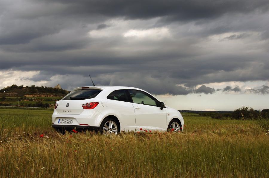  Seat Ibiza SC 2009 года  (фото 108 из 132)